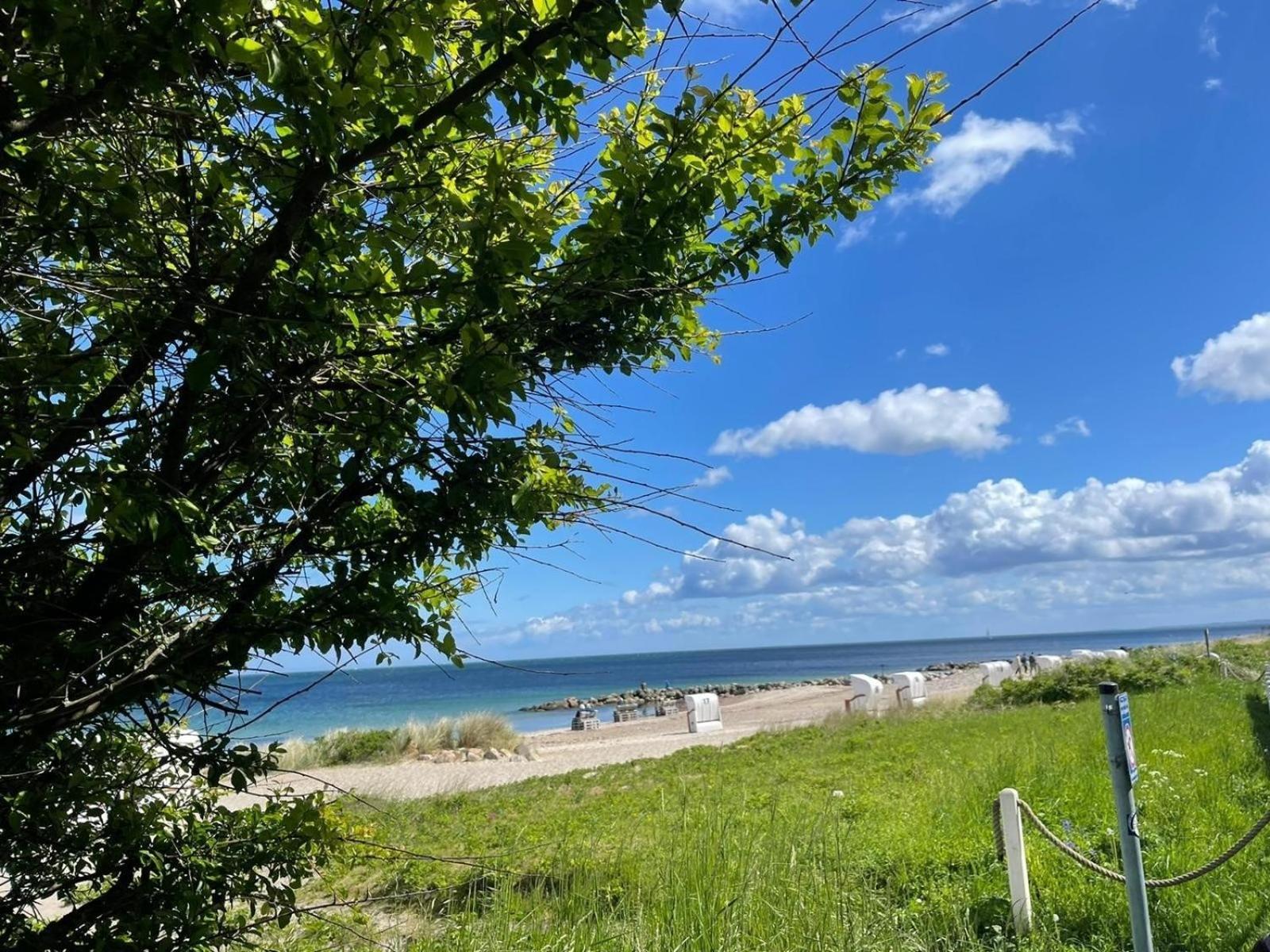 Ferien Am Strand, Urlaub An Der Ostsee Ferienwohnung Am Strand In Der Naehe Der Schlei, Umgebung Von Kappeln U Damp Brodersby-Goltoft Екстериор снимка