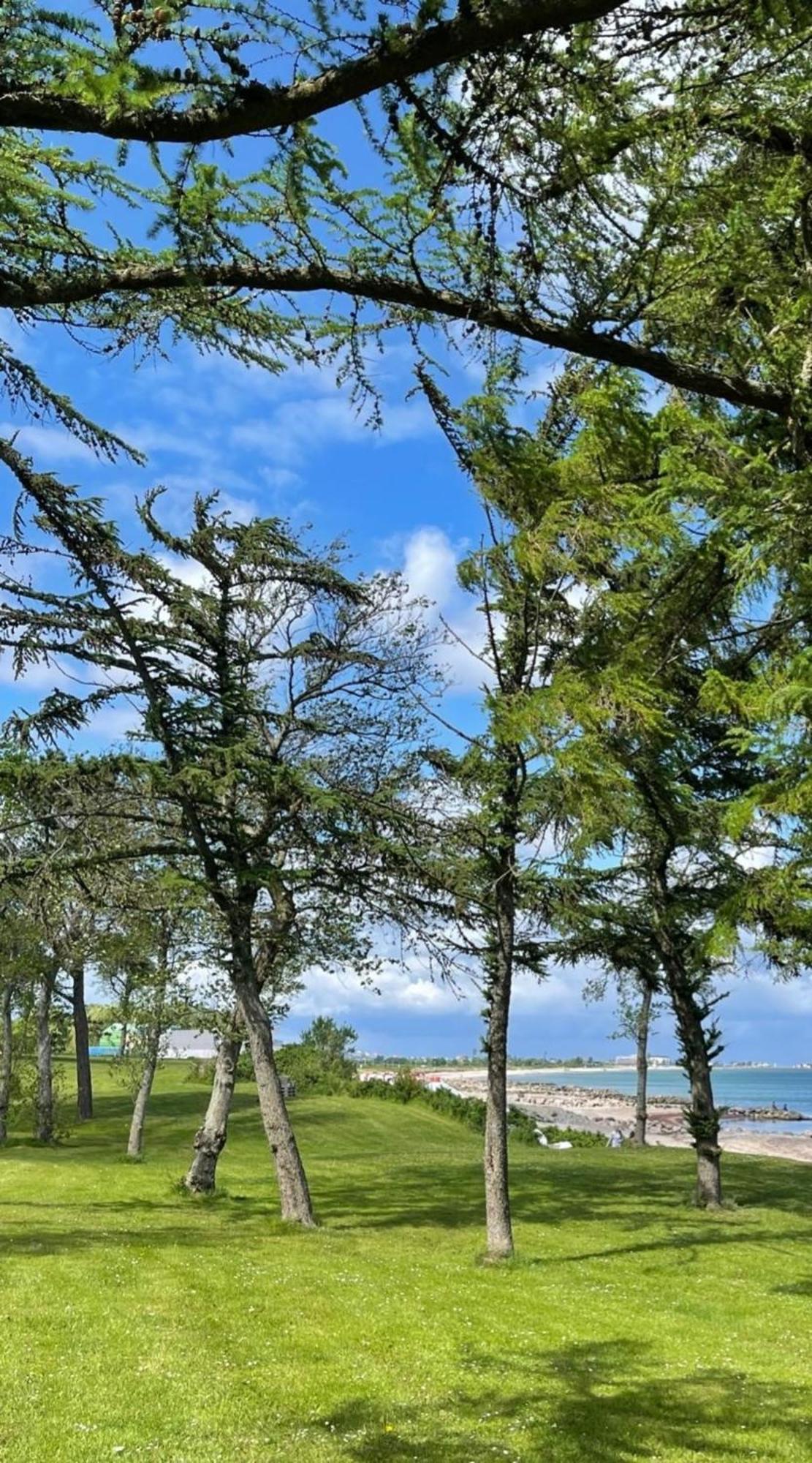 Ferien Am Strand, Urlaub An Der Ostsee Ferienwohnung Am Strand In Der Naehe Der Schlei, Umgebung Von Kappeln U Damp Brodersby-Goltoft Екстериор снимка